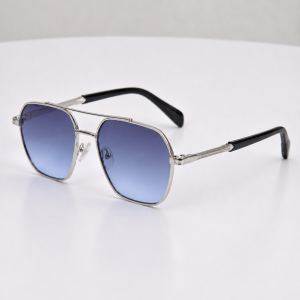Lunettes de soleil – Modèle Silver Sky
